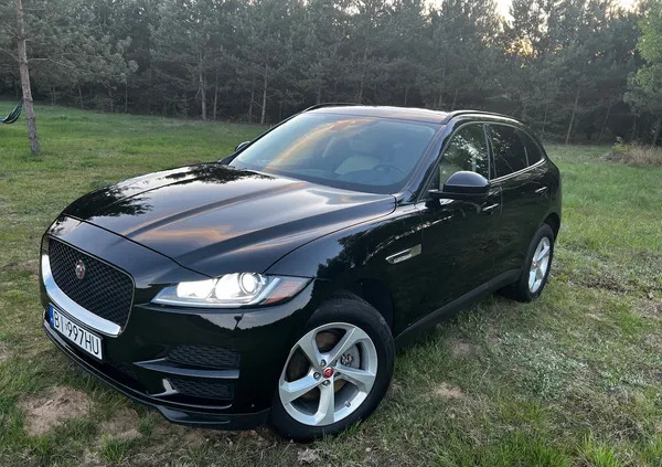 jaguar f-pace lubuskie Jaguar F-Pace cena 115900 przebieg: 112800, rok produkcji 2017 z Białystok